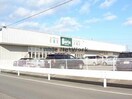 Seria生活良品昼飯店(ディスカウントショップ)まで2327m ドリーミー山中Ｃ