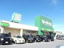 V・drug大垣中央店(ドラッグストア)まで452m ルアールハイツＢ