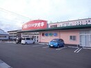 クスリのアオキあずま店(ドラッグストア)まで2997m メルベーユ芝原