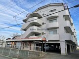 スイトマジョラム