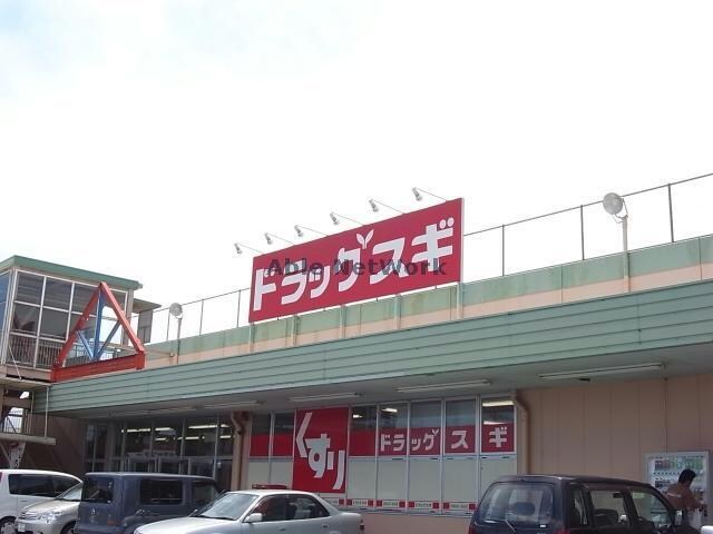 スギドラッグ関ヶ原店(ドラッグストア)まで1174m Surplus　Ⅰ　Skyhills