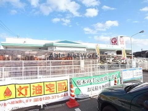 コメリハード＆グリーン昼飯店(電気量販店/ホームセンター)まで216m サンフォレスト参番館