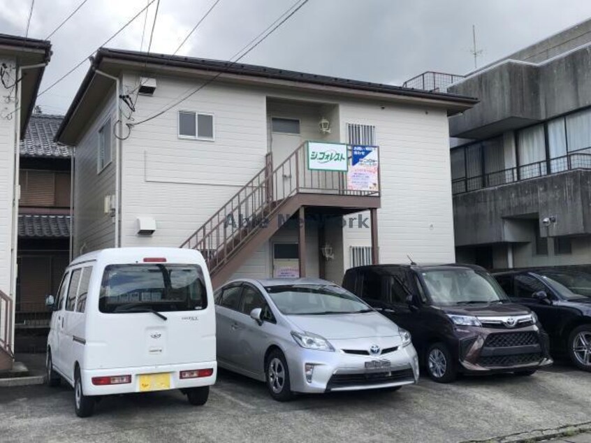  ジ・フォレスト