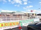 コメリハード＆グリーン揖斐川店(電気量販店/ホームセンター)まで1384m メゾンドジョイフル