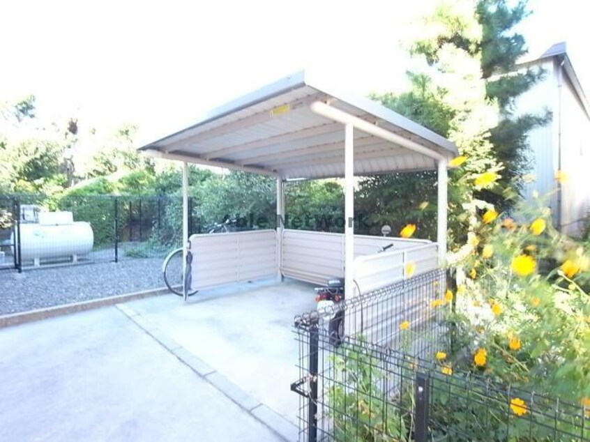  グローブサンシャイン