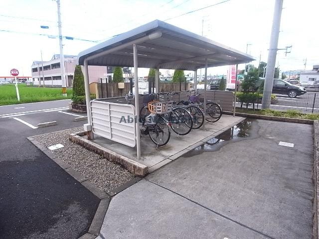  コートデイジー　Ｂ