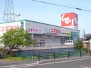 スギ薬局垂井店(ドラッグストア)まで1339m 青木住宅
