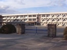 垂井小学校(小学校)まで280m コート金福地