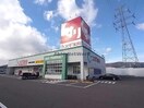 スギ薬局垂井店(ドラッグストア)まで195m メゾン・サンシャイン