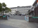 大垣市北小学校(小学校)まで520m ブリーズA