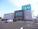 ニトリ大垣店(電気量販店/ホームセンター)まで2445m ロジュマンH