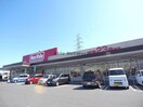マックスバリュ垂井店(スーパー)まで1116m ウィステリア