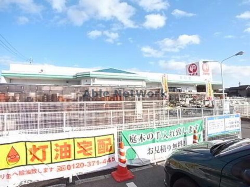 コメリハード＆グリーン昼飯店(電気量販店/ホームセンター)まで1335m アンジーハウスⅠ