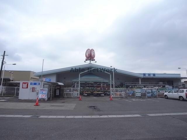 コメリハード＆グリーン南濃店(電気量販店/ホームセンター)まで707m ハイツマリン
