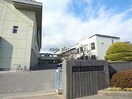 大垣市立興文中学校(中学校/中等教育学校)まで1270m バードガーデン 南一色町
