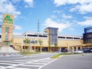 平和書店アル・プラザ鶴見店(本屋)まで1608m ブランシエルT