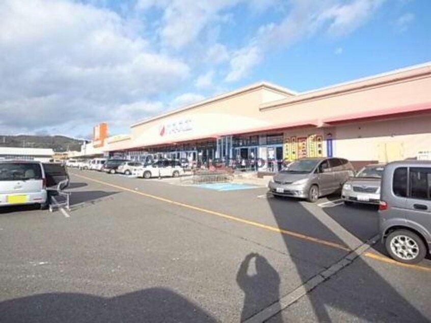 カネスエ昼飯店(スーパー)まで733m メルヴェーユ