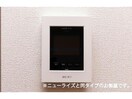  グランターサⅡ