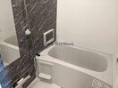  ヴァイオレット