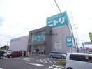 ニトリ大垣店(電気量販店/ホームセンター)まで468m el viento