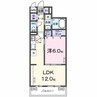 エムズステージⅧ 1LDKの間取り