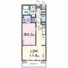 エムズステージⅧ 1LDKの間取り