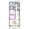 エムズステージⅧ 1LDKの間取り