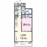 エムズステージⅧ 1LDKの間取り