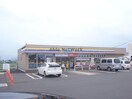ミニストップ養老船附店(コンビニ)まで2933m カーサF