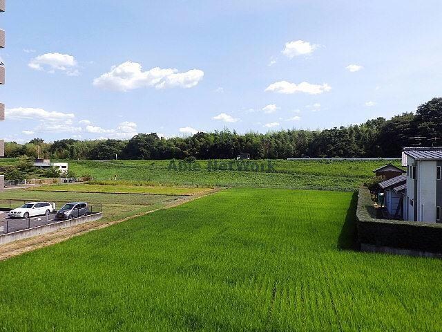 参照写真です Three Woods Y＆F