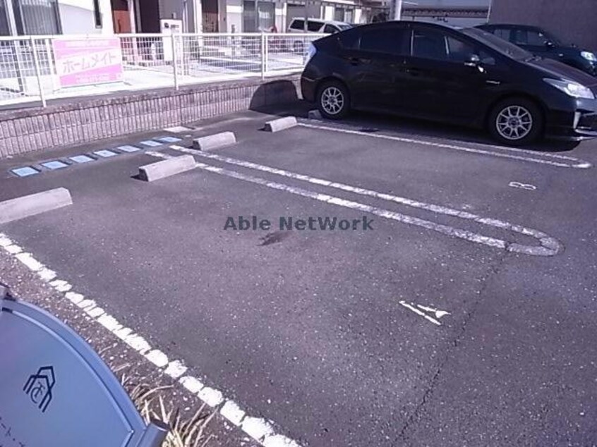  サンコートブロッコリー