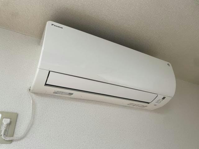 パクトル