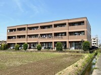 ブラウンシティー715