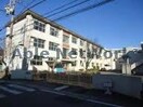岐阜市立厚見小学校(小学校)まで451m マイタウン茶所