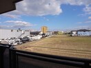 ※同物件別部屋写真参照 ＢＬＵＥ　ＢＯＳＳ