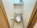  フィジス