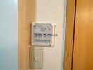 フィジス