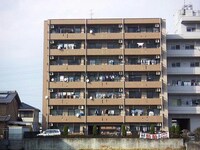 アコールヤマショウ