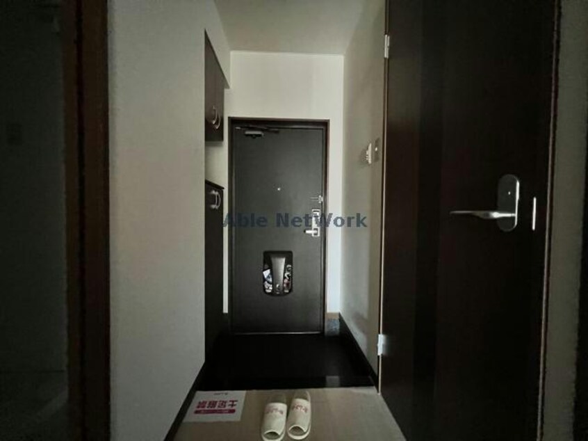 玄関周り ソルティ１