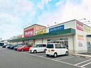 V・drug岐阜県庁西店(ドラッグストア)まで334m サンライズマンション