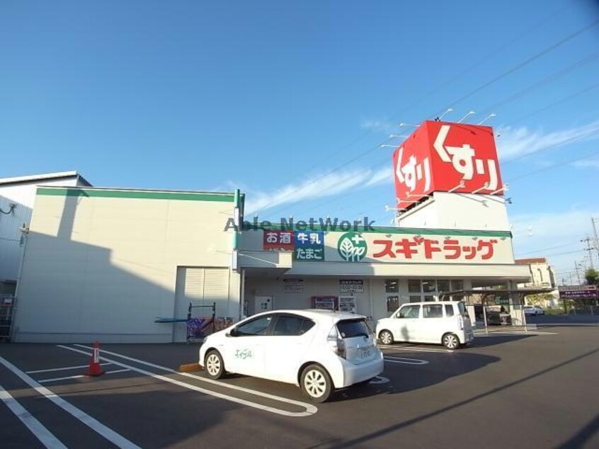 スギ薬局岐阜六条店(ドラッグストア)まで702m Salt Valley Court