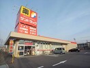 サンドラッグ岐阜六条店(ドラッグストア)まで795m 吉元ビル