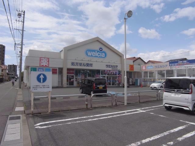 ウエルシア岐阜加納本石町店(ドラッグストア)まで799m エレガンスイシグレ