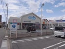 ウエルシア岐阜加納本石町店(ドラッグストア)まで799m エレガンスイシグレ
