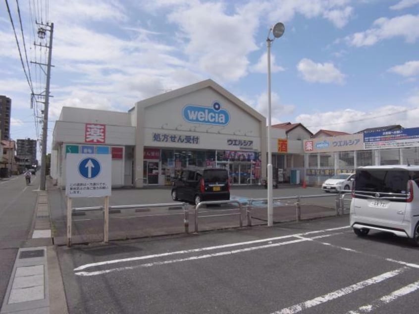 ウエルシア岐阜加納本石町店(ドラッグストア)まで799m エレガンスイシグレ