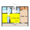 MAISON　MINETTE（メゾン　ミネット）の間取図