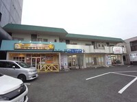 アベニューウズラ