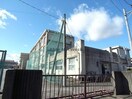 岐阜市立精華中学校(中学校/中等教育学校)まで859m 鏡島西貸家