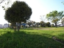 八ツ草公園(公園)まで2199m 鏡島西貸家