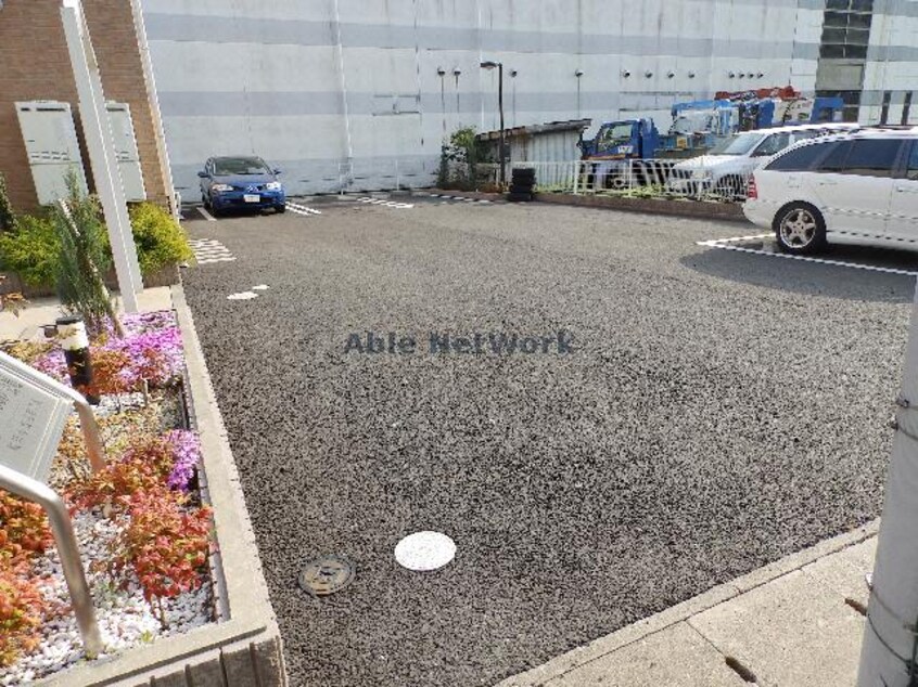  アモローソ雲竜